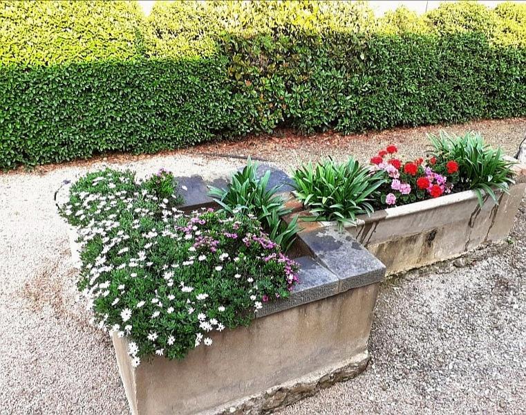 Agriturismo Boschetto Di Montiano มอนเตียโน ภายนอก รูปภาพ