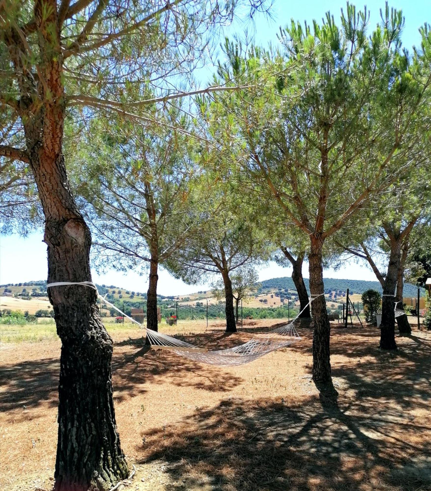 Agriturismo Boschetto Di Montiano มอนเตียโน ห้อง รูปภาพ
