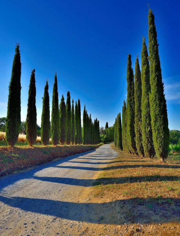 Agriturismo Boschetto Di Montiano มอนเตียโน ภายนอก รูปภาพ
